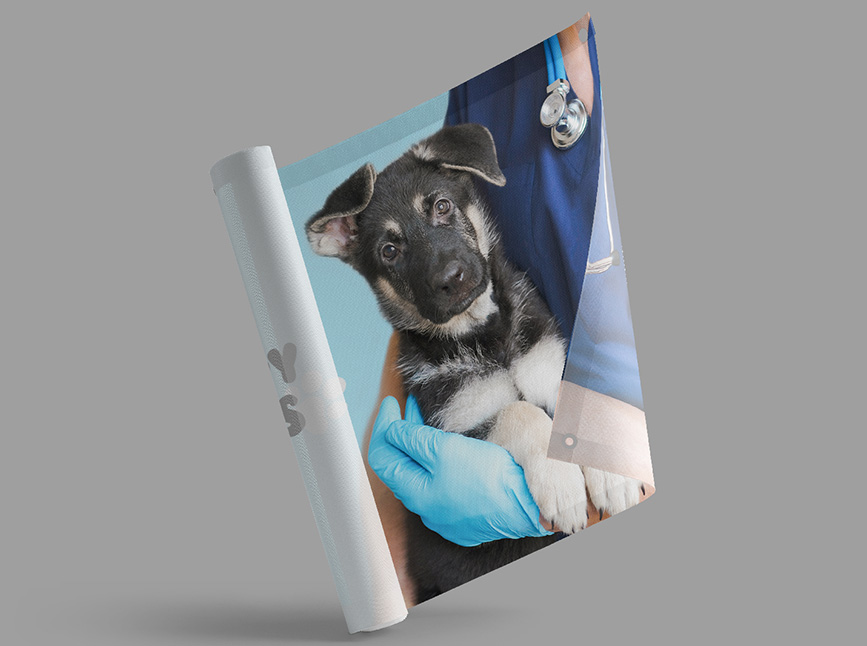 Mesh and vinyl banners in multiple sizes for your health & wellness or veterinary business